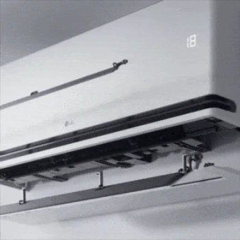 Dual Vane